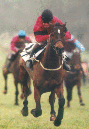 CLIFDON FOG Winner at Punchestown, ridden by Tommy Treacy